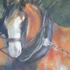 Jacqui Melbourne Design