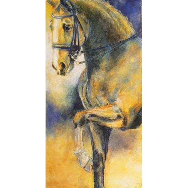 Dressage